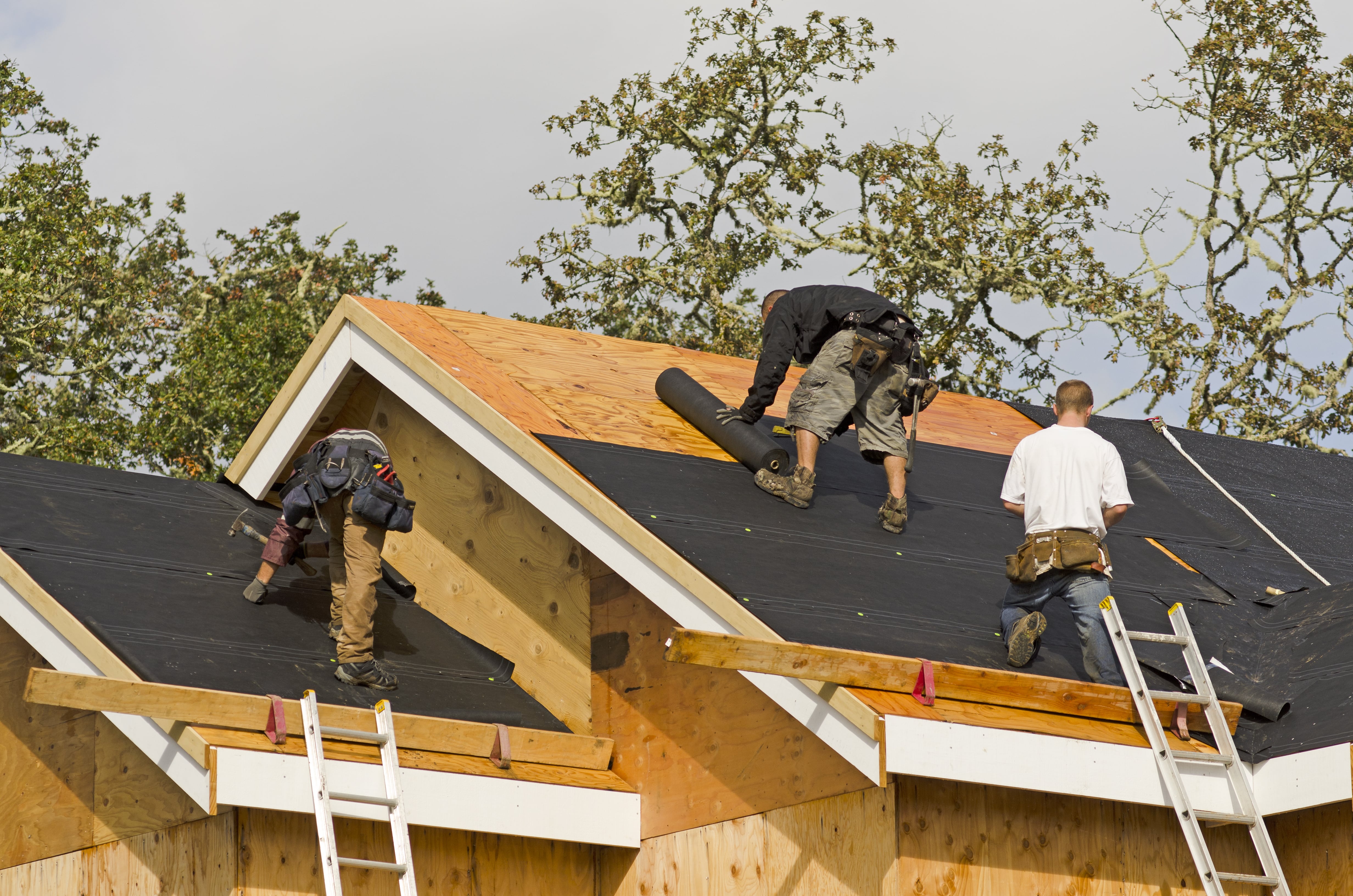 Обработка крыши защитными средствами